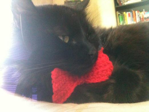 Crochet Bow-tie Cat Collar Pattern!